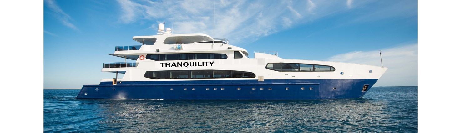 My Tranquility