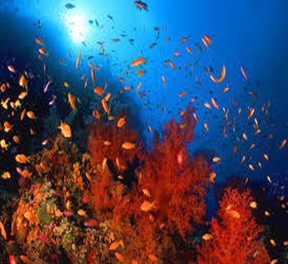 THE SUAKIN ARCHIPELAGO
